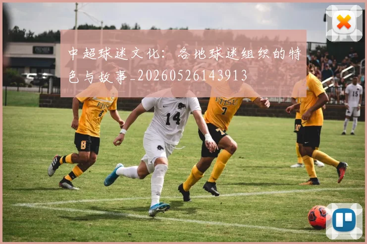 中超球迷文化：各地球迷组织的特色与故事_20260526143913