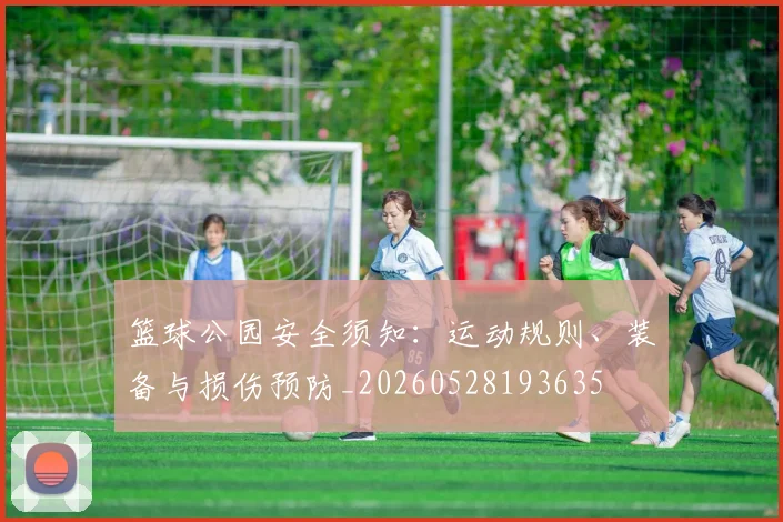 篮球公园安全须知：运动规则、装备与损伤预防_20260528193635